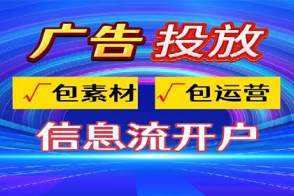 网络推广中的竞价广告：成功案例解析